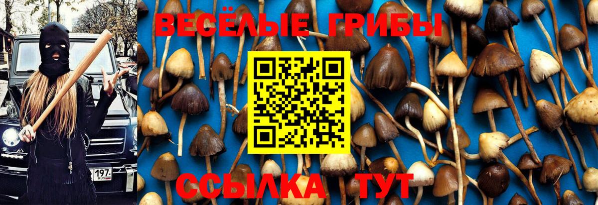 Галлюциногенные грибы ЛСД Вольск