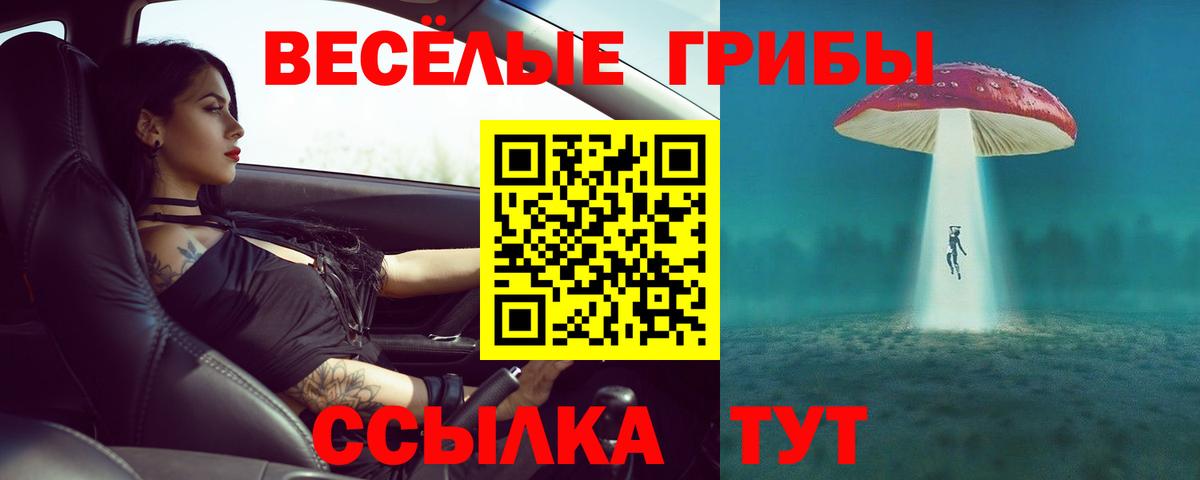 Галлюциногенные грибы мухоморы  Галлюциногенные грибы ЛСД  Вход с VPN  Вольск 